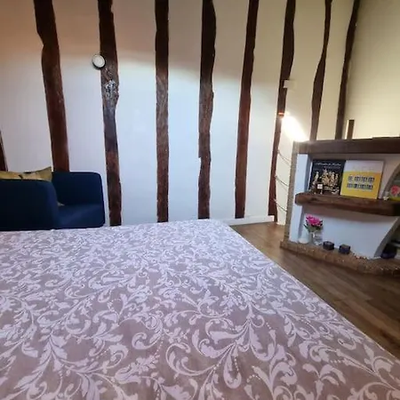 公寓 Charming Loft In Historical Center Of
